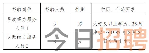 徐汇区殡葬事业单位最新招聘信息及其解读