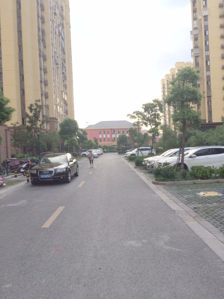 措勤县住房和城乡建设局最新人事任命，塑造未来城市的新篇章