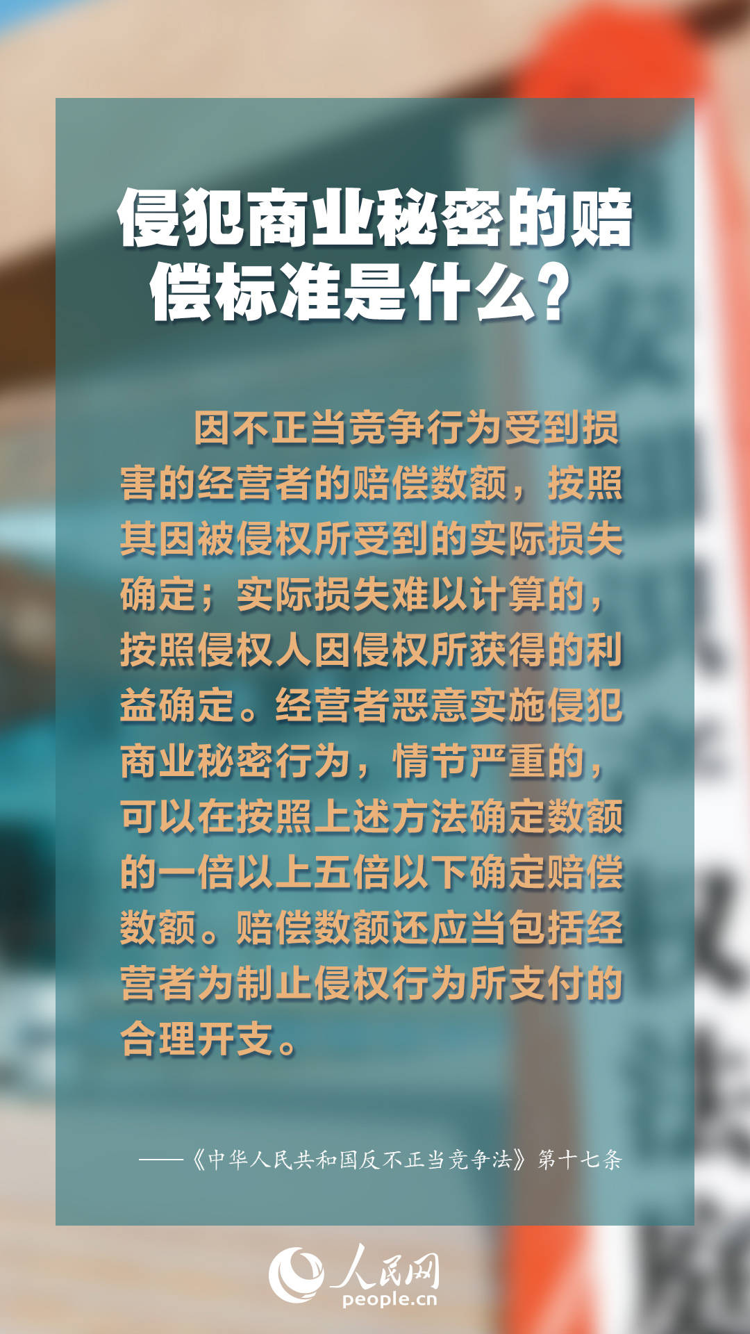 探索未来知识宝库，2024年正版资料免费大全公开与详尽释义解释落实