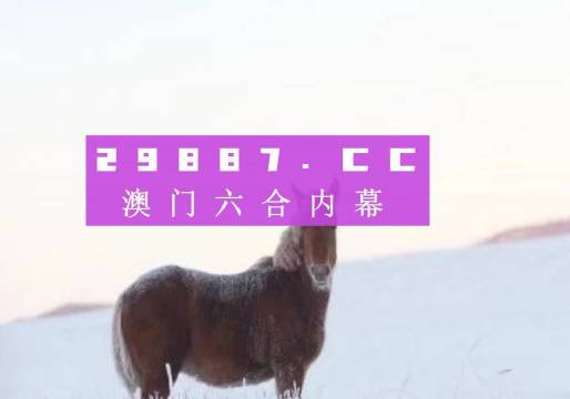 澳门精准四不像正版，细腻释义解释落实的策略与实践