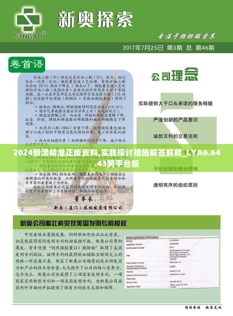 新澳2024年精准资料220期，工具释义解释落实的深度洞察