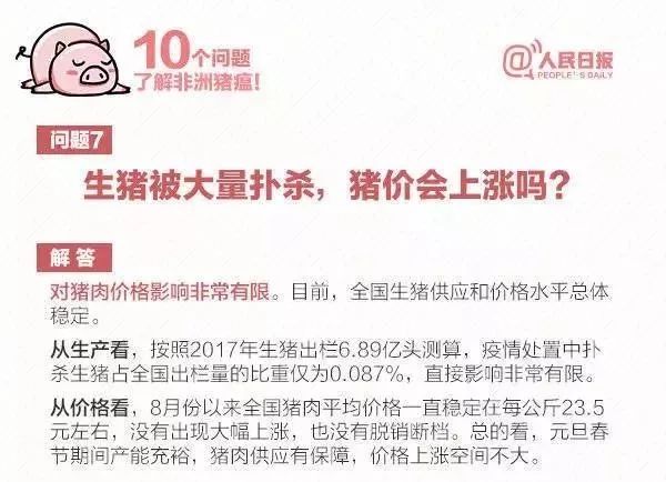 揭秘新澳精准资料大全，权威释义解释落实的奥秘