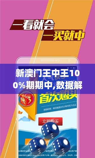 新澳门王中王与确诊释义，探索、解释与落实