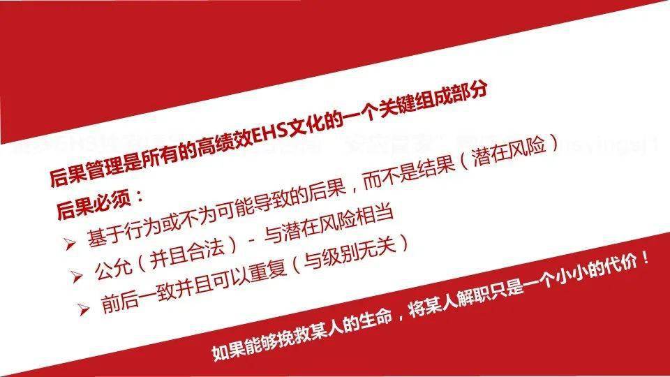 2024新澳精准资料大全，速度与释义的完美结合与高效落实