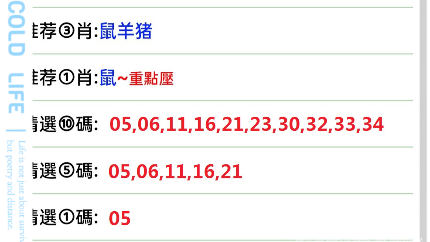 澳门一码一码精准预测与A07版释义解释落实研究