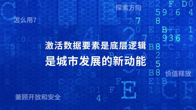 探索跑狗论坛版与计画释义的落实之路，一场数字与智慧的交融盛宴