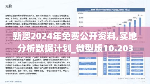 新澳2024年免资料费，精彩释义、深入解释与切实落实