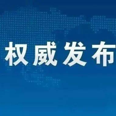 新澳门天天资料，释义解释与有效落实的探讨