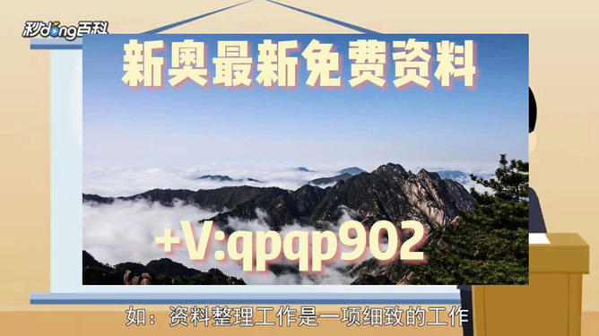 关于提供2024年新奥正版资料的特别释义与落实措施