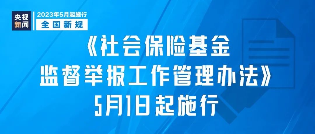 新澳门天天资料与创投释义，解读与落实策略探讨