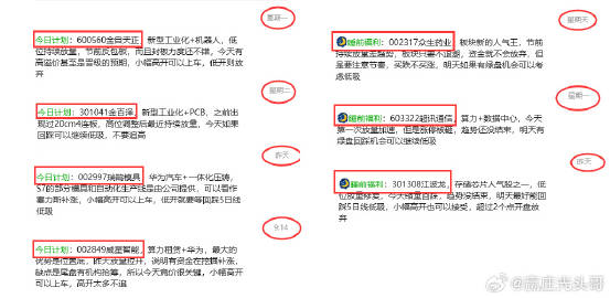 一肖一码9995cocm，释义解释与落实的重要性