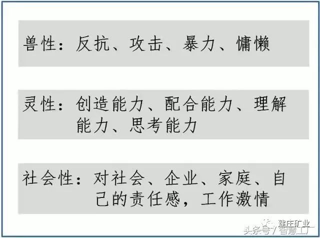 今晚澳门特马开什么与四不像的裁定释义解释落实