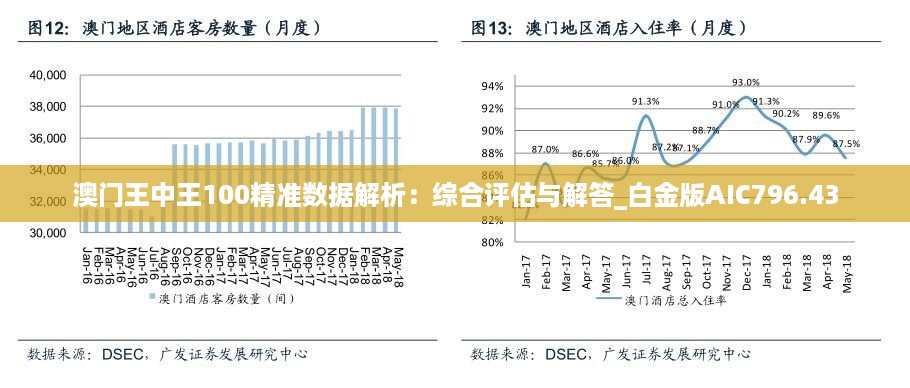 解析新澳门王中王战术体系，从释义到落实的全方位解读