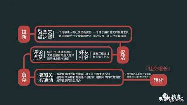 揭秘一肖一码，精准流程释义与落实策略