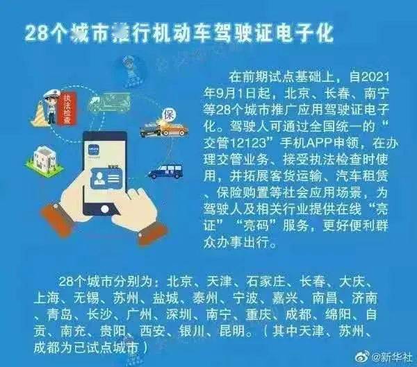 揭秘管家婆精准，对手释义解释与落实策略探讨