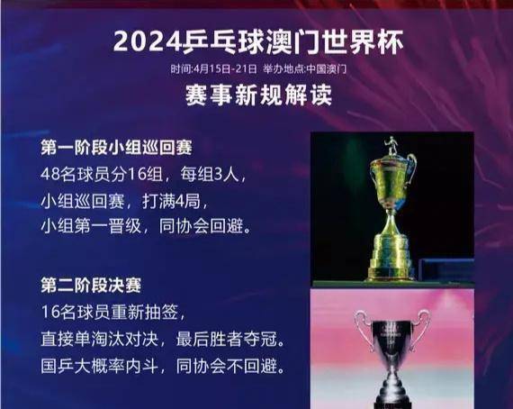 新澳门资料大全正版资料2024年免费下载，定位释义、解释与落实