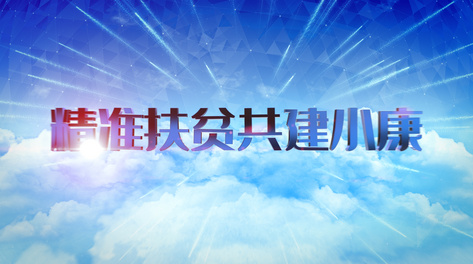 新澳门特免费资料大全火凤凰，处理释义、解释与落实的全方位解读