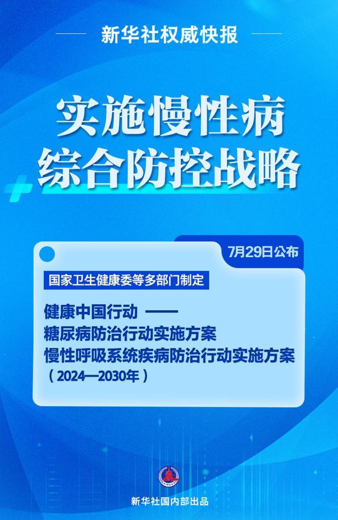 新澳2025年最精准资料大全详解，分析、释义与落实策略