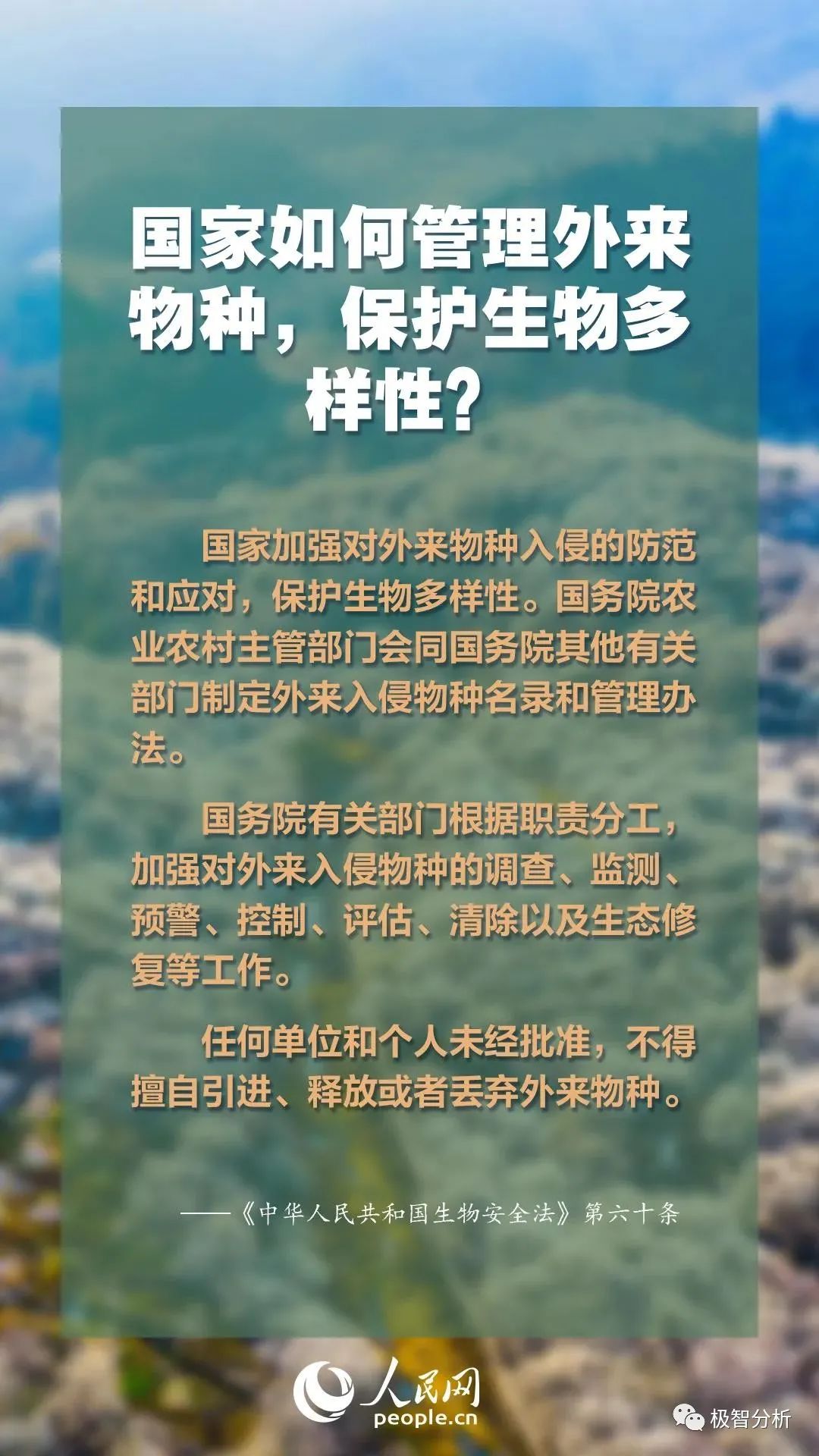 迈向未来的知识宝库，2025年资料大全与传统释义的落实