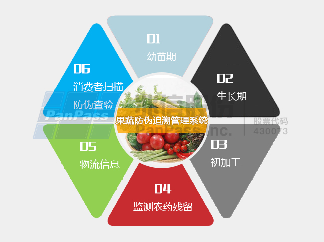 澳门管家婆一码一肖——产品释义解释落实的全面解读