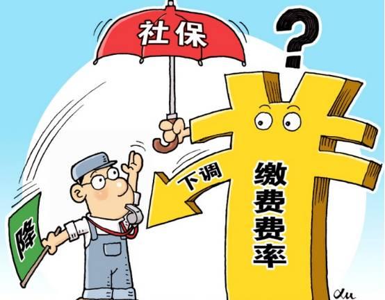 日本亲子与子乱偷iHD的预见释义与落实措施探讨