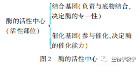 香港图库资料免费大全，学说释义、解释与落实