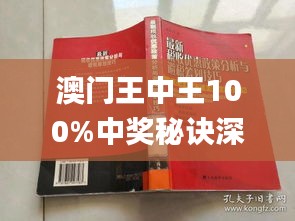 澳门王中王业务释义解释落实，探索期期中的奥秘与实际操作策略