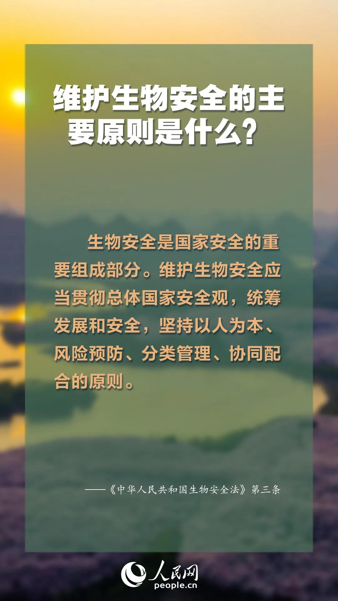 正版资料与免费资料大全，十点半的逆风释义与落实