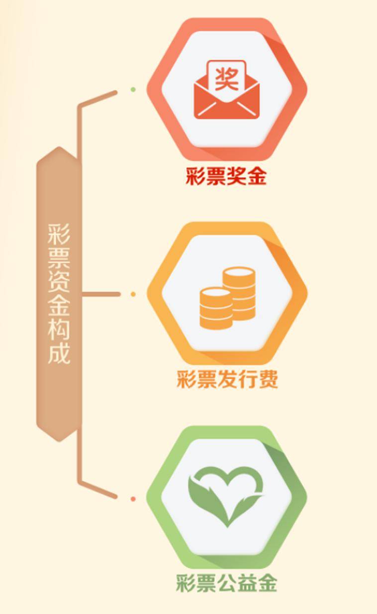 探索正版资料大全好彩网，释义解释与落实策略