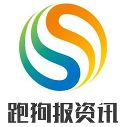 关于跑狗图库大全与商关释义的探讨，落实与实践