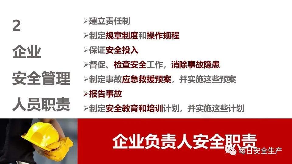 一肖一码一一肖一子，安全释义解释落实的重要性