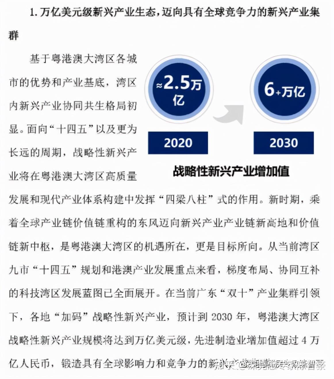 澳门王中王的未来展望与资料解析，2025年的蓝图与拓展释义解释落实