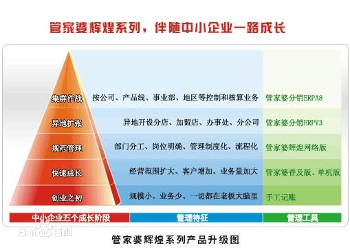 深入理解精准管家婆，分层释义与落实策略