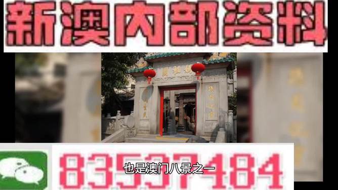 新澳门特免费资料大全与管家婆料，释义解释与落实的探讨