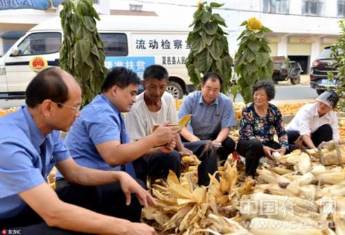 新澳资料免费精准期期准，交心释义与落实的重要性