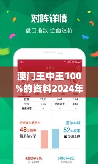 新澳门王中王战术释义与落实策略，迈向2025年的探索之旅