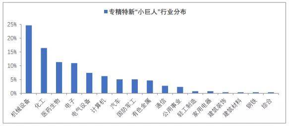 迭代释义解释落实，聚焦澳门特马在2025年的新发展