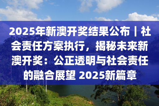 迈向公开透明，2025全年资料免费公开的合法释义与落实策略