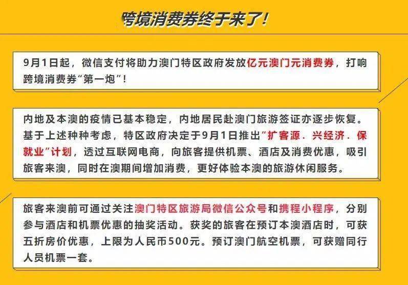 澳门今晚购物指南，探索购物热点与自我释义解释落实的重要性