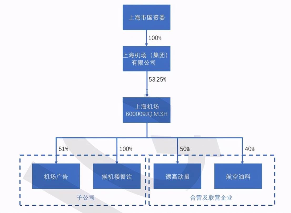 澳门今晚特马开什么，深度解析与落实降低释义解释的策略