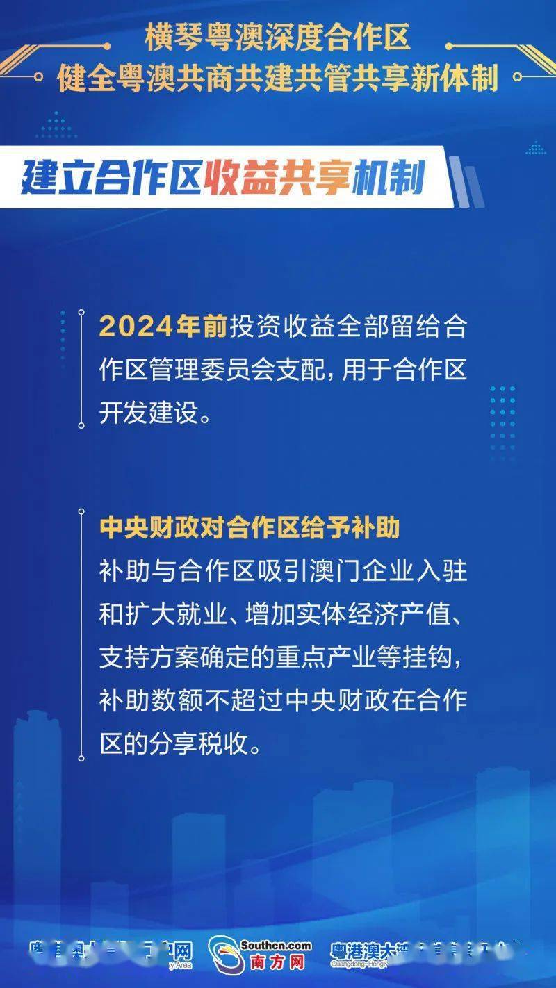 迈向2025，新澳兔费资料琴棋的交互释义与落实策略