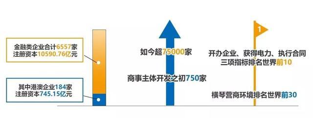 新澳门天天资料与创投释义，探索、解释与落实