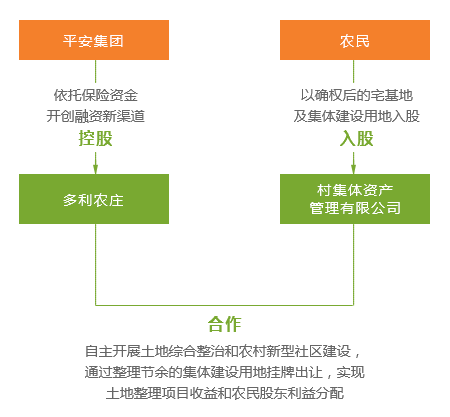 一码一肖一特马报与案例释义解释落实详解