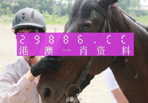 今晚澳门精准一肖一马，严密释义、解释与落实