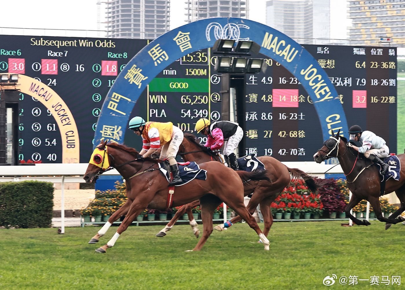 关于香港特马赛事的讨论与释义解释落实的探讨