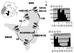 探索2924新澳正版免费资料大全，成名的内涵与实现路径