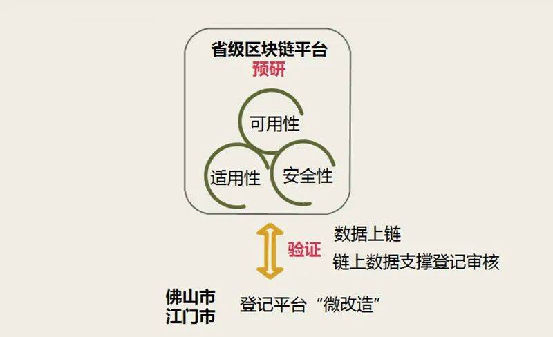 探索未来新澳好彩，免费资料查询与最新释义解释落实策略