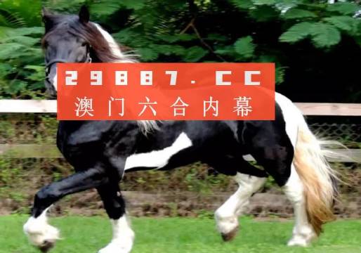 澳门一肖一码一一子中特跨团释义解释落实深度探讨