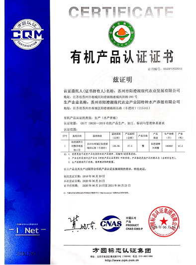 澳门今日特马揭晓与耐心的力量，释义、解释与落实