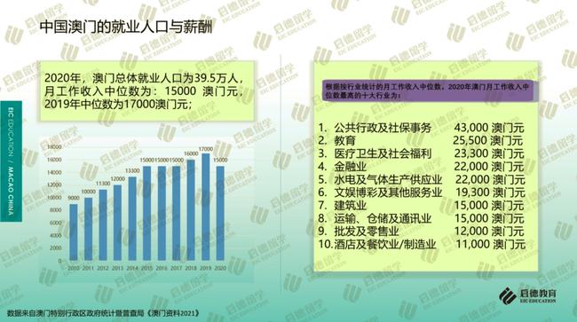 澳门免费资料与内部资料的深度解析，速效释义与落实之道